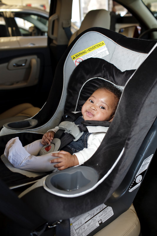 Cat Checklist For All Ages Clark, What Is The Age For Infant Car Seat