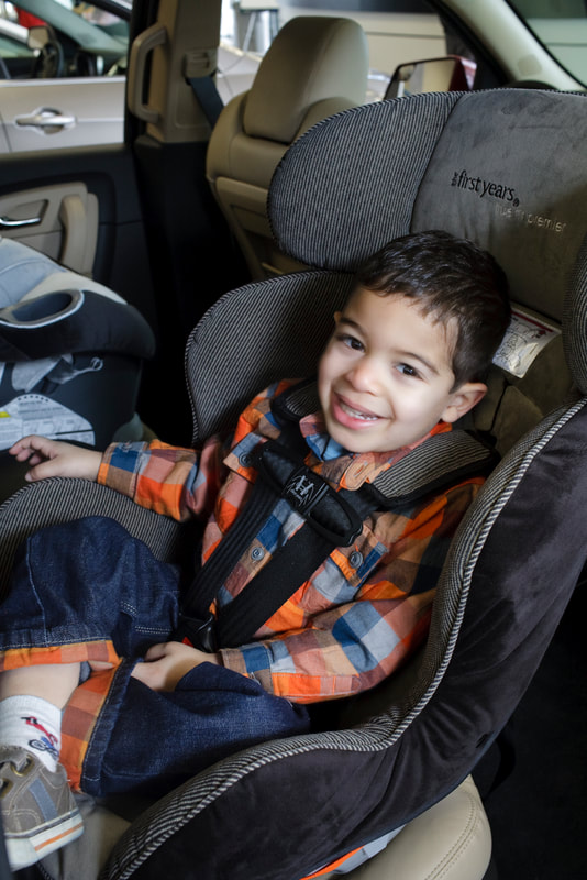 Cat Checklist For All Ages Clark, Nevada Car Seat Laws